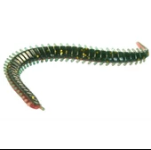 Lucky John Sandworm 4'' Kokulu Lrf Yemi 10 cm - 7