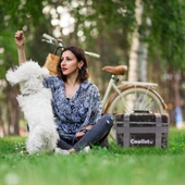 Coolist CL26C 26 Litre Katlanabilir Termos Bez Çanta / Buzluk thumbnail 8