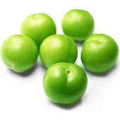 4 ADET( 2 ELMA+1 KİRAZ+1 ERİK) Meyva Fidanı +120 Cm, Açık Köklü Aşılı 3 yaşında thumbnail 4