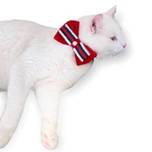 GC Silver Yılbaşı Kedi Papyonu - 2