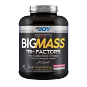 BigJoy Big Mass +GH Factors 3000 Gr - 2