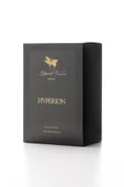 Alberto Taccini Hyperion Erkek Parfümü 60 ml - 5