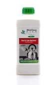 Mioclean Pas ve Kireç Çözücü 1000 ML - 3