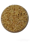 Karışık Kuş Yemi 500gr - 1