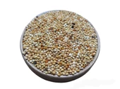 Karışık Kuş Yemi 500gr - 2
