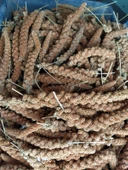 Doğal Kızıl Dal Darı Kuş Yemi 500Gr (Min:10cm-Max:20cm Uzunluk) - 1