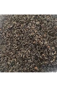 Nijer Tohumu 1Kg Kuşlar Için Nijer Tohum Yemi Kızıştırıcı Yem - 1