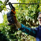 WORX WG324E 20Volt 2.0Ah Li-ion 12CM Profesyonel Şarjlı Zincirli Testere - 10