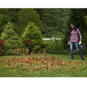 Worx Wg583e 40Volt 4.0Ah. Li-İon Kömürsüz Profesyonel Yaprak Toplama Ve Üfleme - 6