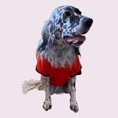 Cute Girl Special Sweatshirt Orta ve Büyük Irklar İçin - 3