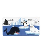 Eolo Minik Kitaplar 3lü Set 1 - 2