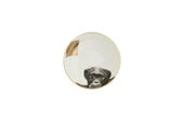 Porland Wild Life Monkey Kase 10cm - 1