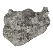 Vitale İmera Kurbağa Heykeli 24x15 cm AK.GC0013 - 5