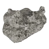 Vitale İmera Kurbağa Heykeli 24x15 cm AK.GC0013 - 2