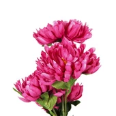 Vitale Krizantem Çiçeği Kırmızı 40 cm AK.BG0136-K - 2