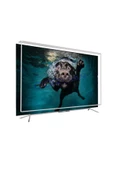 CORUIAN  Grundig Ff55ffu7900a Tv Ekran Koruyucu / 3mm Ekran Koruma Paneli thumbnail 1