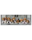 Clementoni Beagles 1000 Parça Panorama Puzzle 39435 - 2