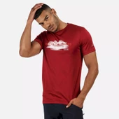 Regatta Fingal V Erkek Kısa Kollu Tişört Bordo RMT216 thumbnail 1