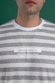 OVERSİZE ÇİZGİLİ PAMUKLU ERKEK T-SHİRT thumbnail 4