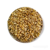 Hanımelipetstore Çimlendirmelik Organik Buğday 1 Kg - 4