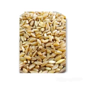 Hanımelipetstore Çimlendirmelik Organik Buğday 1 Kg - 2