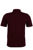 Erkek Bordo Renk Polo Yaka Tişört Pamuklu Normal Kesim RAR00865 - 5