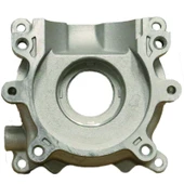 Palmera Q253817 Karter Starter Tarafı - Palmera QGZ25A - 1