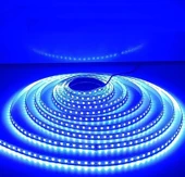 10 METRE  CATA CT 4484 10 Çip İç Mekan Şerit Led Mavi 12 V - 2