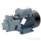 RainPump QB80 Santrifuj Bronz Pervaneli Pompa 0.75 kW 1 HP - 1