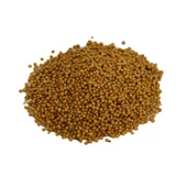 Doğal Sarı Hardal Tohumu Tane Saf Sarı Hardal Tohum 100GR - 1