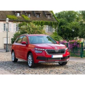 Skoda Kamiq 2019-2023 Motor Altı Karter Muhafaza 2Q0825236E - 2
