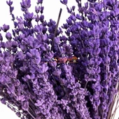 Kurutulmuş Lavanta Demeti 40-50 Cm 1 Adet 200-300 Dal - 2