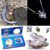 İstiridye İçinden Çıkan Gerçek İnci Kolye Set Sevgiliye Şık Hediye - 1