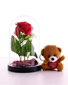 Fanusta Led Işıklı Kırmızı Gül ve Mini Ayıcık Set Sevgiliye Hediye 01A - 1