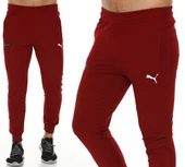 Puma Erkek Eşofman Altı Mercedes Logolu ED-2028 - 1