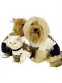 Diesel Leo Köpek Tulumu Köpek Elbisesi - 3