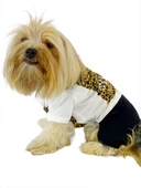 Diesel Leo Köpek Tulumu Köpek Elbisesi - 6