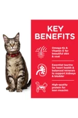 Hills Adult Optimal Care Kuzu Etli Yetişkin Kedi Maması 10kg - 3