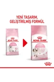 Royal Canin 36 Kitten Yavru Kuru Kedi Maması 2 kg - 2