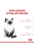 Royal Canin 36 Kitten Yavru Kuru Kedi Maması 2 kg - 5