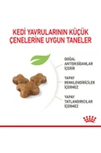 Royal Canin 36 Kitten Yavru Kuru Kedi Maması 2 kg - 7