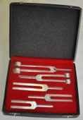 Mesitas Dyapazon Set 5'li - 1