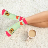 Biggdesign Cats Kadın Soket Çorap Seti - 10