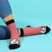 Biggdesign Dogs Kadın 5'li Kısa Soket Çorap Seti - 2