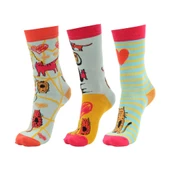 Biggdesign Cats Kadın Soket Çorap Seti - 2