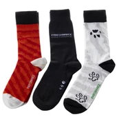 Biggdesign Dogs Erkek 3'lü Soket Çorap Seti - 1