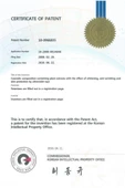 The Fair Arbutin Leke Bakımı ve Dr+ MEDM 50 SPF Güneş Koruması - 4