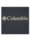 Columbia CSC M Basıc Bıg Logo Brushed SS Tee Erkek Tişört Gri CS0287-012 - 3