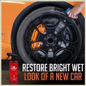 Michelin MC33573 500ml PRO Serisi Lastik ve Trim Parlatıcı, Koruyucu ve Yenileyici Sprey - 7