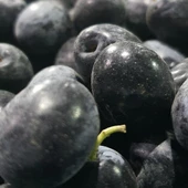 Taze Toplanmış Ham Mut Siyahı Zeytini Selelik Çevirmelik 3kg DUBLE Boy - 1